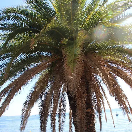 La Patricia - Charme Et Tradition Villefranche-sur-Mer